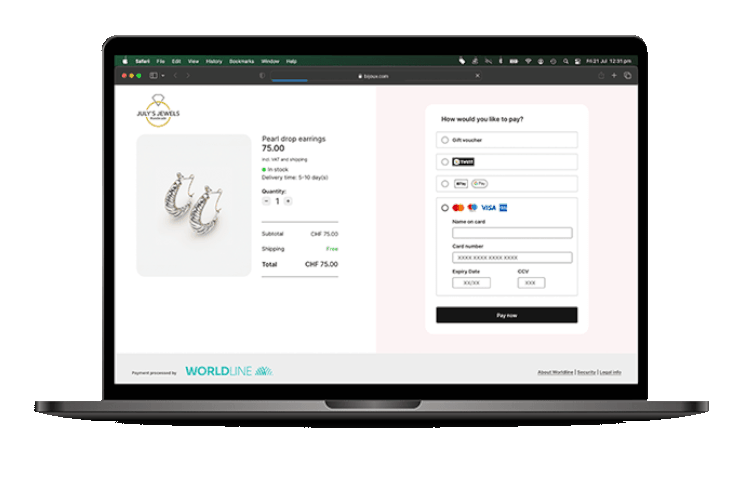 Laptop zeigt den Bezahlvorgang eines Onlineshops mit verschiedenen Zahlungsmöglichkeiten.